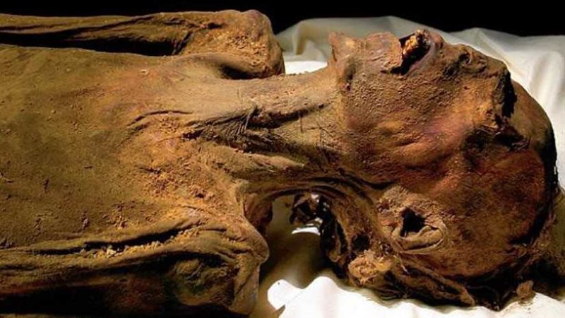 الآثار: مد عرض المومياء