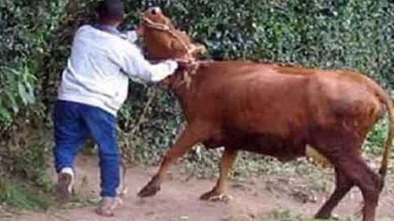 ضبط تشكيل عصابي لسرقة