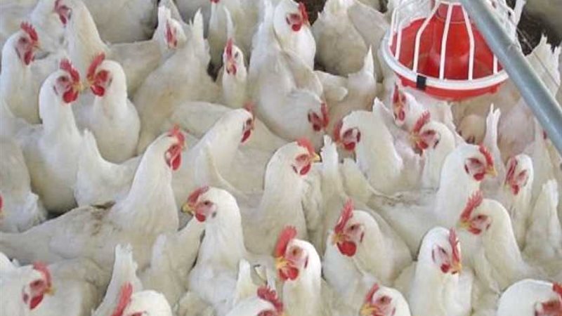 لوحة ترخيص معدنية