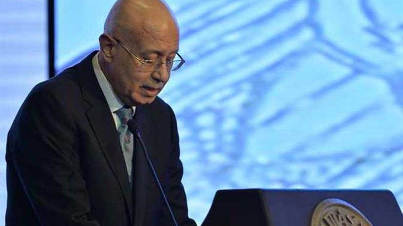 رئيس الوزراء يوجه