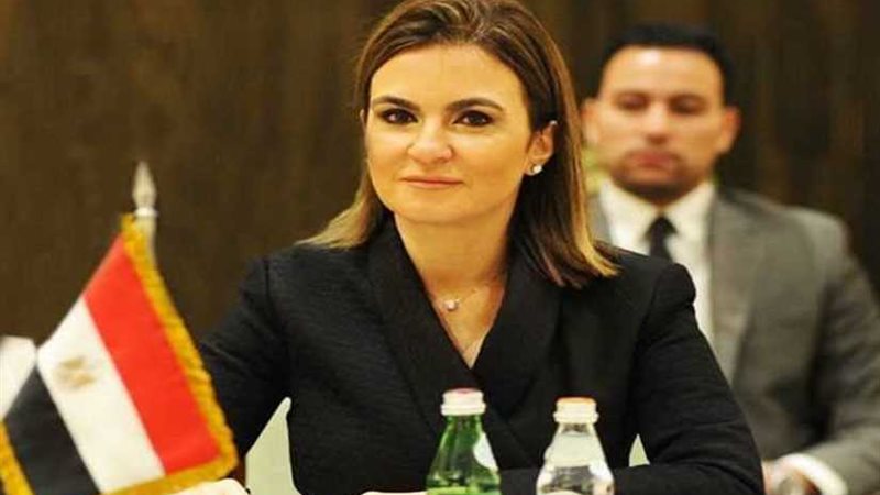 الاستثمار: 20.8%