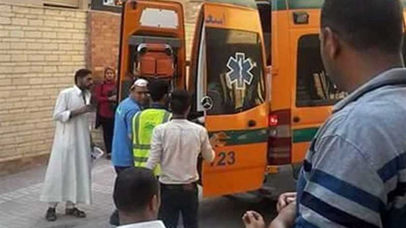 إصابة 6 مزارعين فى