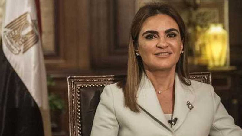 وزيرة الاستثمار: