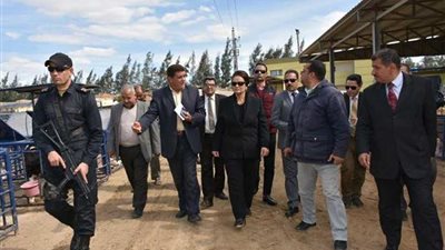 محافظ البحيرة تتفقد المشروعات الزراعية بالنوبارية