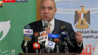 وزير التنمية: على الجميع ممارسة حقهم الدستوري في الانتخاب وجني ثمار تضحياتنا (فيديو)
