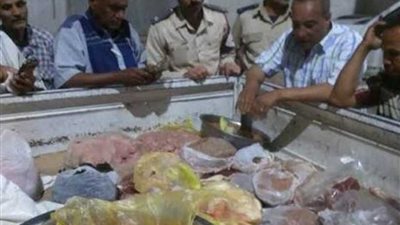 تحرير 3886 محضرا صحيا خلال العام الماضي بالمنيا