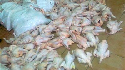 خلال أسبوع.. ضبط 4.4 طن لحوم ودواجن فاسدة