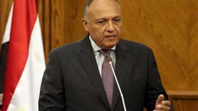 شكري يؤكد دعم مصر للحل السياسي في سوريا