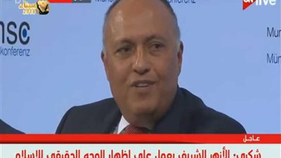 سامح شكري: مصر تبرز الوجه الحقيقي للإسلام من خلال الأزهر (فيديو)