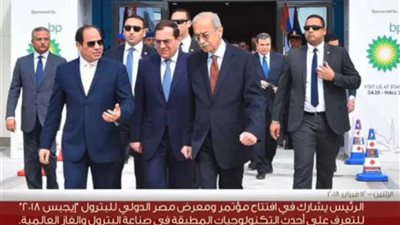 ملخص أنشطة الرئيس خلال الأسبوع الماضي (فيديو)