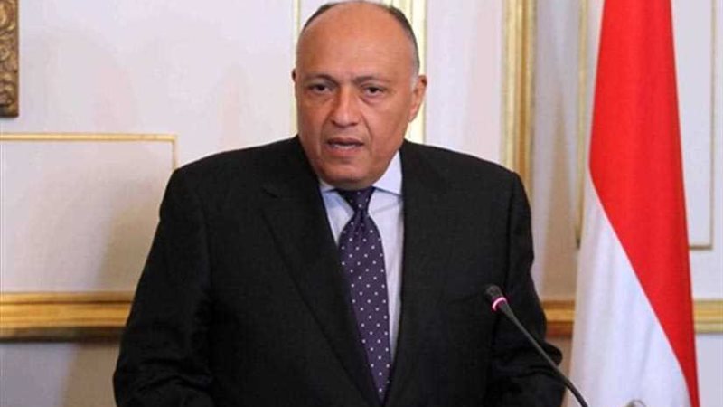 سامح شكري يتلقى اتصالًا