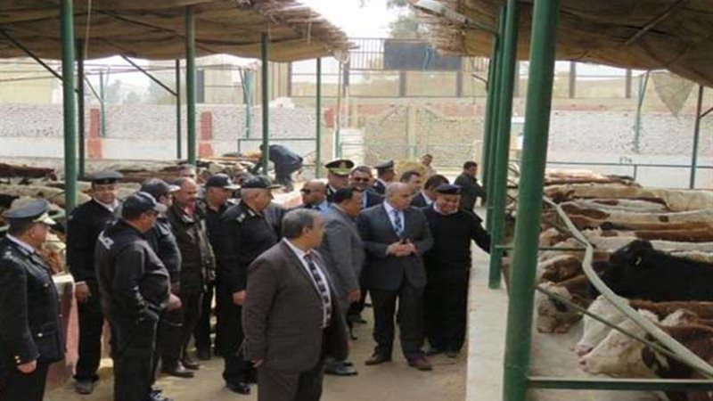 افتتاح المحجر البيطري