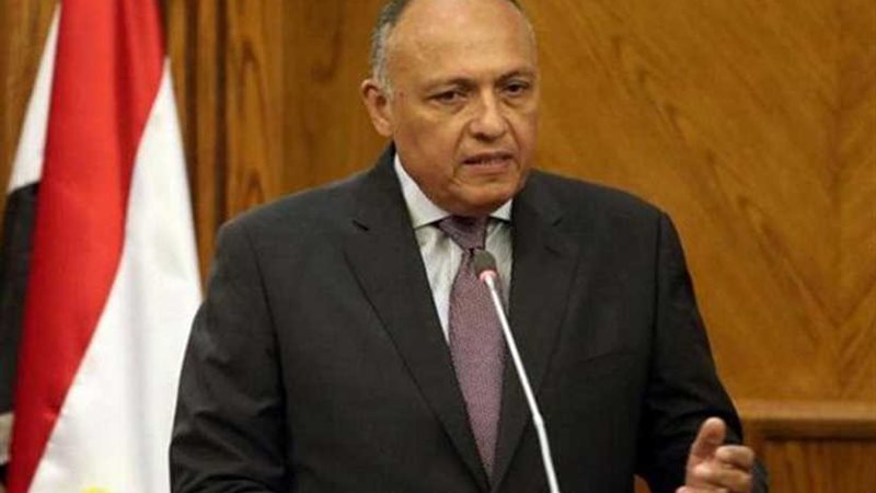 شكري يؤكد دعم مصر