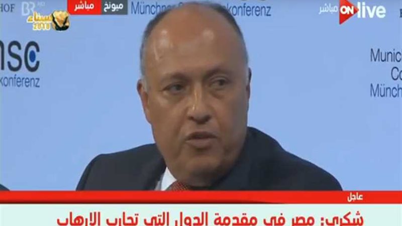 شكري بـ«مؤتمر ميونخ»: