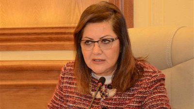 وزير التخطيط: 