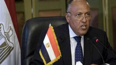 وزير الخارجية يؤكد أهمية فتح قنوات لهجرة نظامية وآمنة