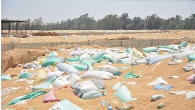 ضبط 110 أطنان قمح غير صالح للاستهلاك الآدمي