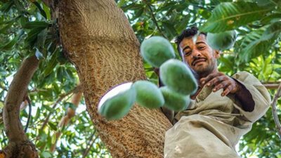 الزراعة تكافح 