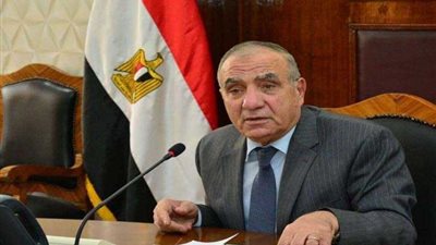 وزير التنمية المحلية: مصر تسير بخطى ثابتة نحو تحقيق التنمية الشاملة الحقيقية