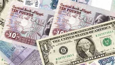 تعرف على أسعار الدولار والعملات أمام الجنيه.. اليوم