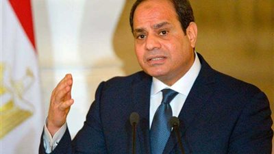 صحيفة بريطانية: الرئيس السيسي يركز على تقوية الاقتصاد المصري على المدى الطويل