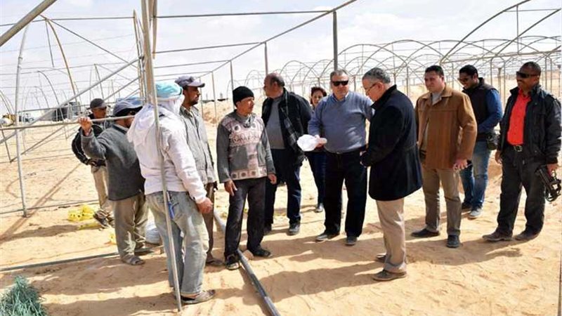 محافظ المنيا يتفقد