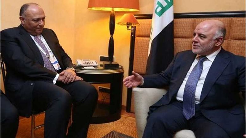 شكري يبحث مساهمة