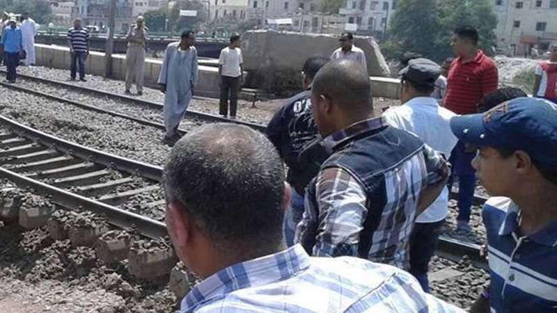  حمار  يتسبب فى توقف