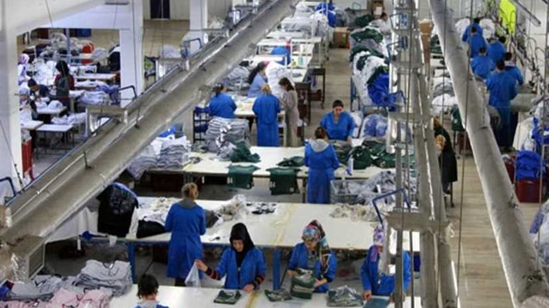 الشقيقان أبو العنين