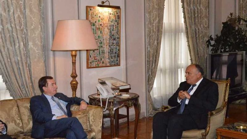 سامح شكري يلتقي رئيس