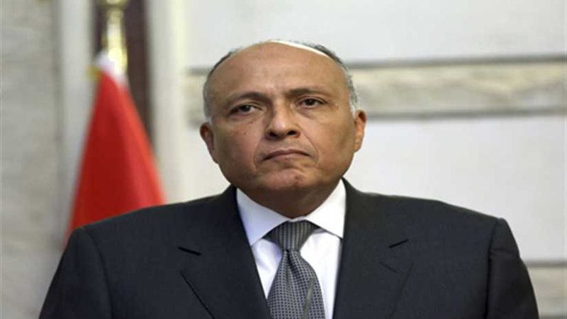 سامح شكري يستقبل