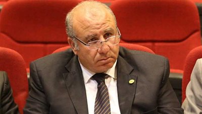 وكيل شباب البرلمان يكشف الجهات الممولة للمشروعات الرياضية