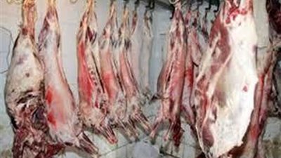 ضبط مجزر مخالف لذبح إناث الماشية وتزوير أختام