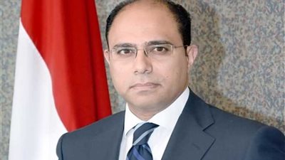 الخارجية: مصر صمام الأمان وتتصدر الصفوف الأولي لمحاربة الإرهاب