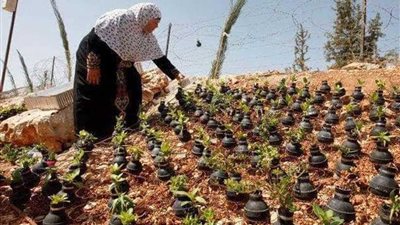 المقاومة بزراعة القنابل.. الحاجة صبيحة فعلتها