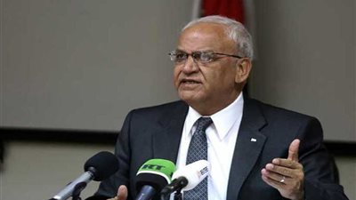 عريقات يكشف عن موقف الدول العربية من القضية الفلسطينية