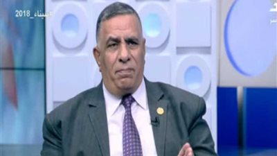 تصريح صادم لبرلماني عن العمالة الحرة (فيديو)