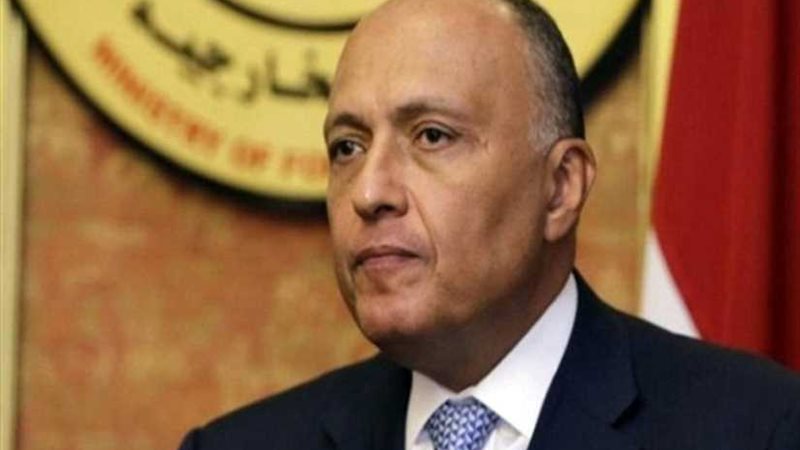 وزير الخارجية يلقي