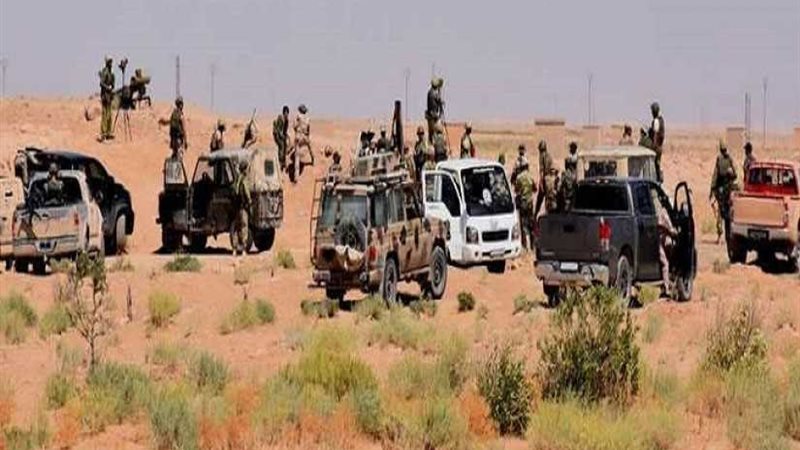 وصول مجموعات جديدة