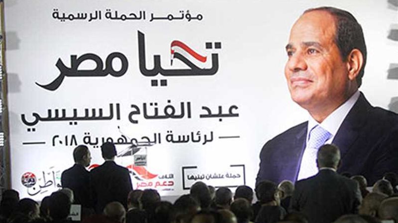 حملة الرئيس السيسي:الهيكل