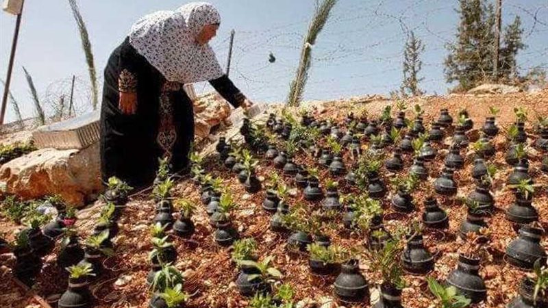 المقاومة بزراعة القنابل..