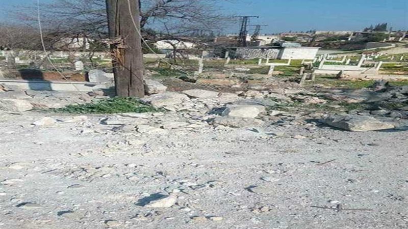 بالصور والفيديو..