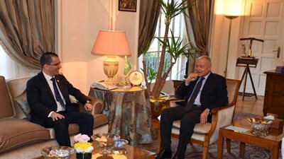 أبو الغيط يؤكد ضرورة تكاتف الجهود الدولية لمساندة القضية الفلسطينية