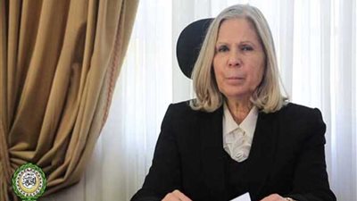 مندوب جامعة الدول العربية تلتقي بحملة 