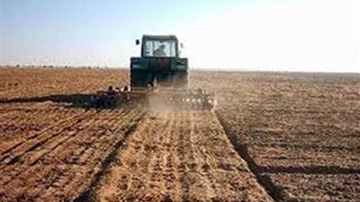 قرعة علنية لزراعة 200 فدان بالوادي الجديد