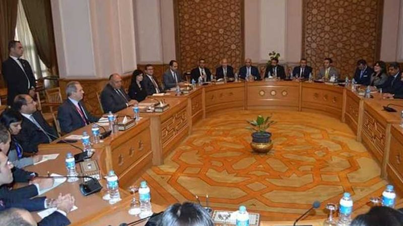 شكري يبحث إرسال بعثة