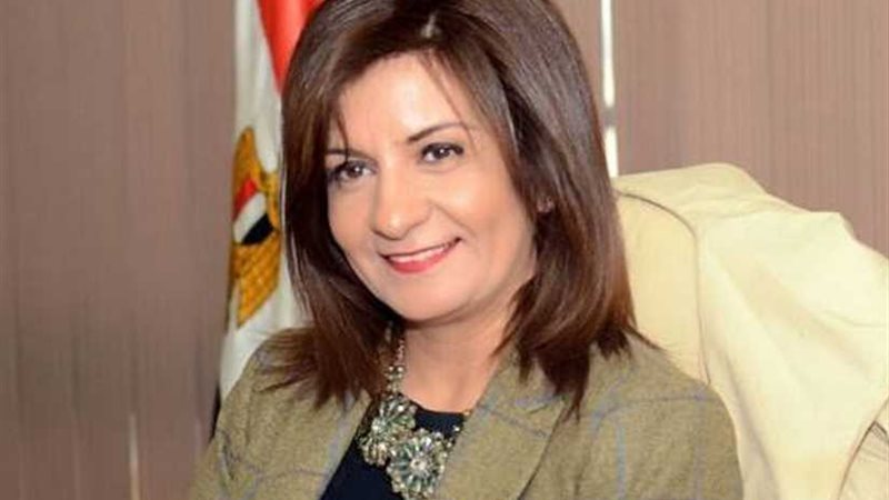 نبيلة مكرم: 139 لجنة