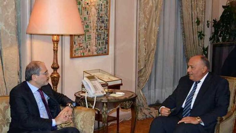 شكري يبحث مع الصفدي