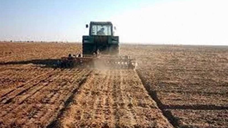 قرعة علنية لزراعة