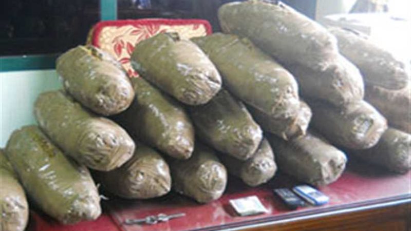 ضبط 21 قطعة حشيش